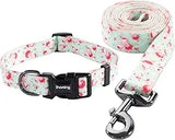 Conjunto de collar y correa para perros para paseos y entrenamiento diarios al aire libre.