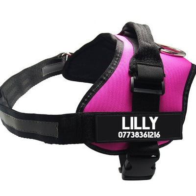 Pet Chest Harness