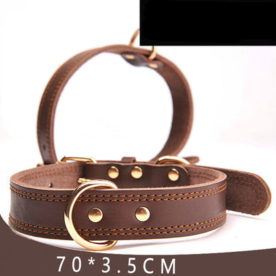 leather dog collar